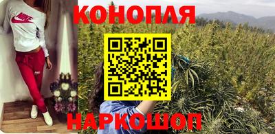 стаф Кулебаки