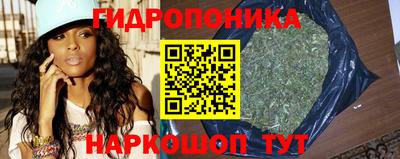 стаф Кулебаки