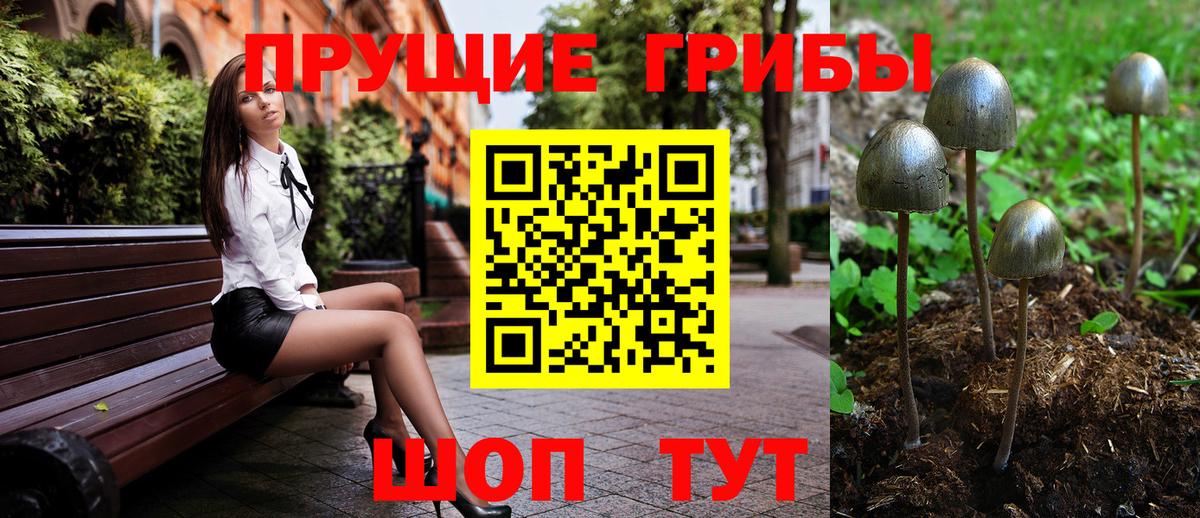 Всеволожск  Галлюциногенные грибы GOLDEN TEACHER  Вход с VPN 