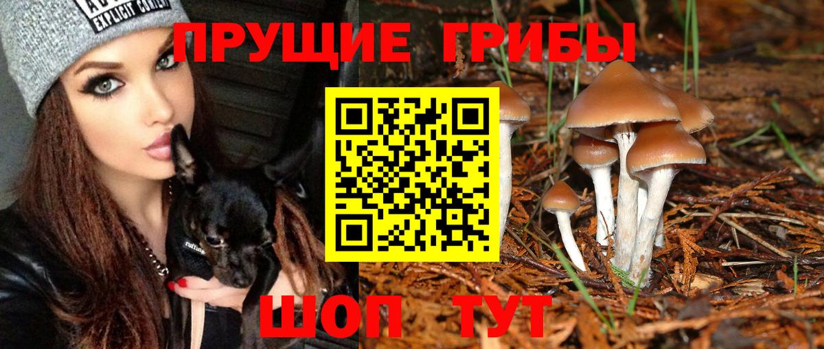 A-PVP Всеволожск