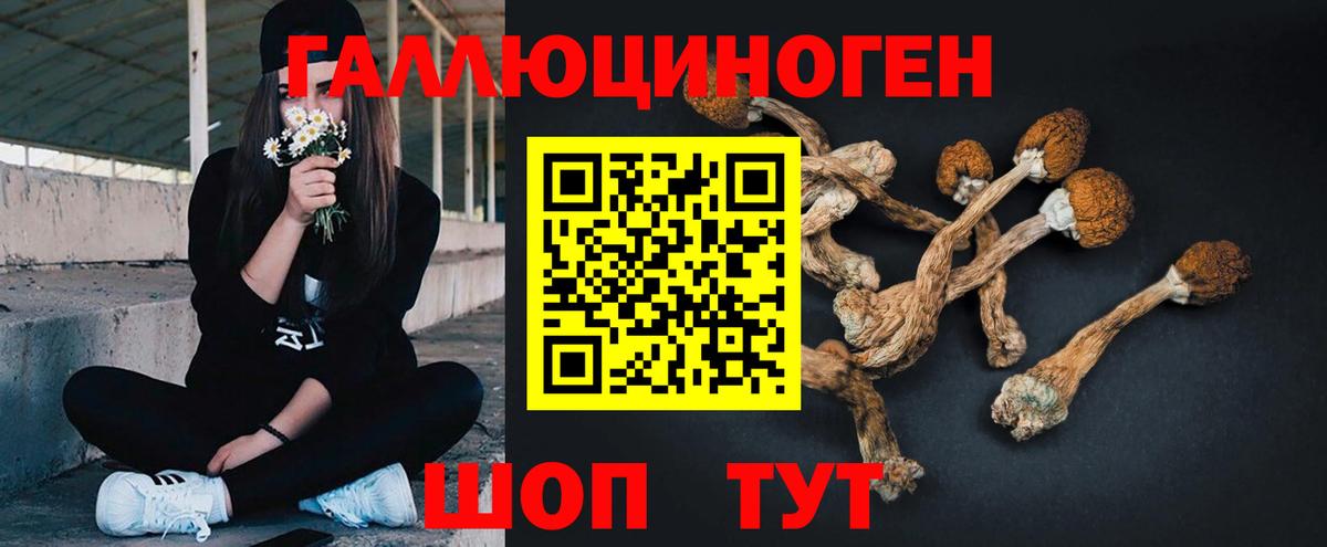 Псилоцибиновые грибы прущие грибы Всеволожск